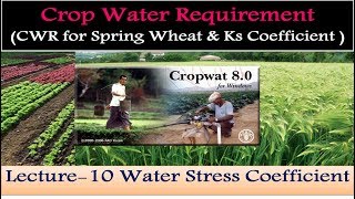 CropWAT 80 CWR of Spring Wheat amp Water Stress Coefficient 10 [upl. by Anairotciv157]