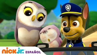 PAW Patrol 2 La Súper Película 2023 Tráiler Oficial Español Latino [upl. by Anitnas]