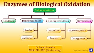 1 Enzymes of Biological Oxidation  Biological oxidation  Biochemistry  NJOY Biochemistry [upl. by Romina]