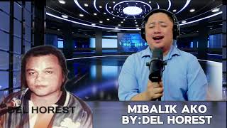 DEL HORESTMIBALIK AKOCOVER BY RONEL MUSIC VLOG mibalikako bisaya cover music [upl. by Ardel]