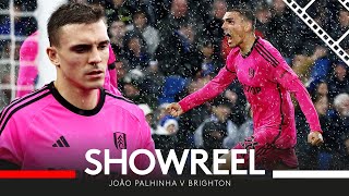 JOÃO PALHINHA SHOWREEL V BRIGHTON 🎬  Most Tackles In Prem Game 2324 amp Super Strike [upl. by Sigismundo]