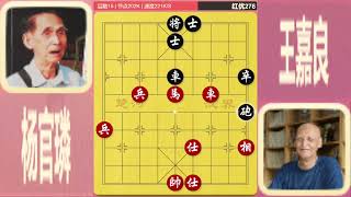 XHUB  Master of Xiangqi Duong Quan Lan 163  traditional chinese chess set [upl. by Eecyac]