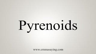 How To Say Pyrenoids [upl. by Nwahsyd]