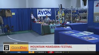 Mandarin Festival 9AM [upl. by Yhotmit]