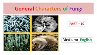 General Characters of Fungi Part9 English [upl. by Tik]