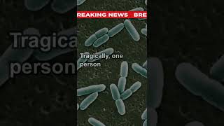 The E coli Strain Linked to McDonalds Quarter Pounders What You Need to Know breakingnews news [upl. by Cherilyn]