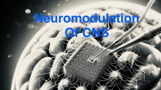 2024  Neuromodulation of CNS [upl. by Tenn426]