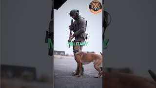 Belgian Malinois vs German Shepherd Who’s the Ultimate Guard Dog [upl. by Aicina]