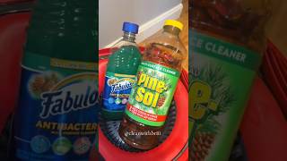 mopping with pine scents 🌲 🫧🪣 cleaningmotivation mopping pinesol fabuloso [upl. by Emawk414]