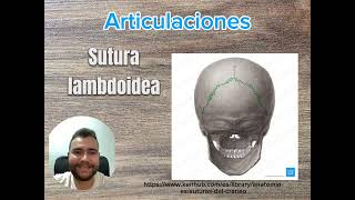 Radiología Anatómica CRÁNEO [upl. by Euginimod]