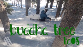 buddha tree telemark skiing 2022 Taos NM [upl. by Leksehcey]