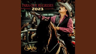 Para Que Regreses 2023 [upl. by Ahtanoj]