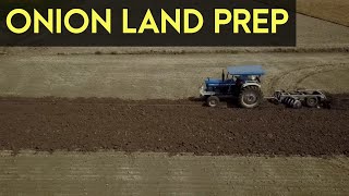 Onion life cycle Onion farming Land Preparation and Direct Seeding  Agribusiness How It Works [upl. by Landel]