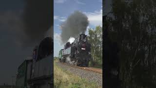 Parní lokomotiva quotVšudybylkaquot 354195 train vlaky lokomotiva railway steam rail locomotive [upl. by Nehepts]