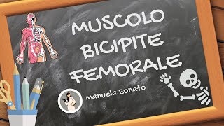 MUSCOLO BICIPITE FEMORALE cosa fa e come si allunga [upl. by Eremehc]