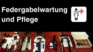 Reinigung und Pflegetips für Gabel und Dämpfer [upl. by Ij878]