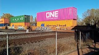 Southbound NS Intermodal train [upl. by Atirec]