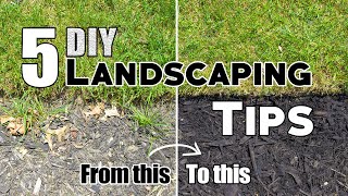 5 Cheap amp Easy DIY Landscaping Tips amp Ideas Plus Bonus Tips 🌱 [upl. by Dazraf]