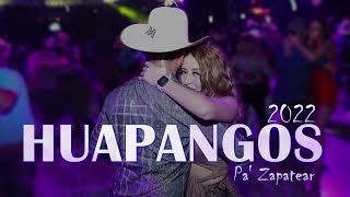 Huapangos Mix 2022 Pa Zapatear y Bailar Dj Alfonzin [upl. by Yrollam]