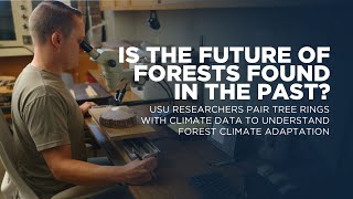 USU Researchers Pair Tree Rings with Climate Data to Understand Forest Climate Adaptation [upl. by Aromat]