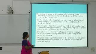 Neurale Tube and its Derivatives  Santiniketan Medical College  MBBS CLASS [upl. by Enalb521]