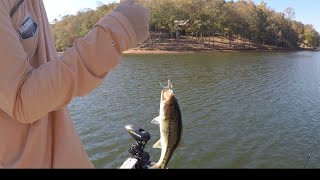 Wedowee Bass Fishing  October 2024 [upl. by Anirt]