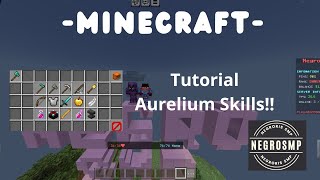 Tutorial cara menggunakan AureliumSkills⚔️ Minecraft Server [upl. by Ali]