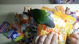 Trolli  Unwrapping Sweets New Some Lots of Candies Lollipop  Satisfying Video no talking  ASMR [upl. by Navi134]