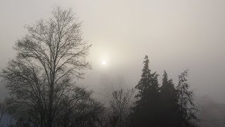 FOTOPOESIE  MUSIK Tanz der Zwischenwelten [upl. by Acker]