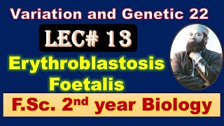 Biology chapter 22 Lecture No13 Erythroblastosis Foetalis FSc 2nd Year [upl. by Garcon]