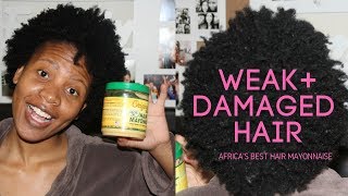 Africas Best Hair Mayonnaise  3b 3c hair  Review [upl. by Hammad]