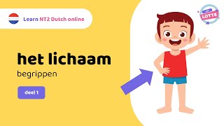 NT2 les “het lichaam” begrippen 🙋  deel 1  Juf Lotte learndutch [upl. by Aissyla]