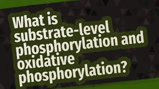 What is substratelevel phosphorylation and oxidative phosphorylation [upl. by Prady313]