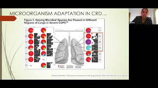 Respiratory Infections in Chronic Lung Disease  Sharon Sunny [upl. by Ethbin]