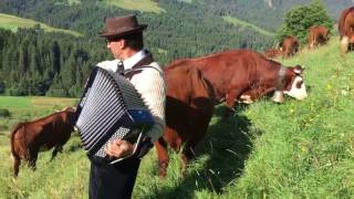 LA PLACE DU VILLAGE Un concerto cloches de vachesaccordéon à Megève quotMontagnes dItaliequot [upl. by Anatole]