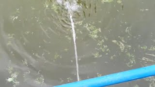 mbV746 Aerators by of PVC Pipes mcbalitofarmtv4710 aerator trending youtube viralvideo [upl. by Eico288]