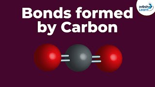 Bonds formed by Carbon  Dont Memorise [upl. by Trometer]