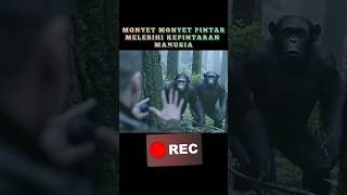 Diserang Ribuan Kawanan Monyet Liar Saat Sedang Berada Di Gunung alurceritafilm [upl. by Suoirrad]