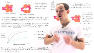 Cooperativity and Allosteric Effectors of ATCase [upl. by Pettit880]