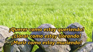 GRITENME PIEDRAS DEL CAMPO Amalia Mendoza LETRA [upl. by Walton]