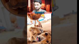 Try not to laugh challenge 🤣🤣 pt70  reaction  dank memes  funny memes shorts [upl. by Pruter821]