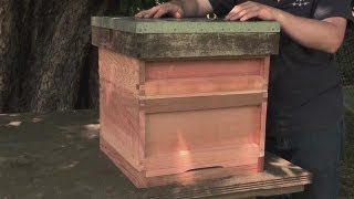 How to Make your Own Beehive [upl. by Ethelstan]