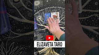 ВАША КАРТА ДНЯ онлайнгадание таро tarot magic top tranding online ElizavetaTaro [upl. by Ansilma]