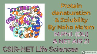 Protein denaturation amp Solubility CSIRNETLifeSciences Biochemistry [upl. by Urien]