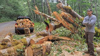 Roadside Firewood Haul After a Storm Forest Service Showed Up [upl. by Aillicec531]