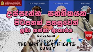 උප්පැන්න සහතිකයේ පිටපතක් පහසුවෙන් ලබා ගන්නා ආකාරය  Get a Copy of the Birth Certificate Easily [upl. by Sucramal]