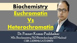 Euchromatin and Heterochromatin [upl. by Malorie]