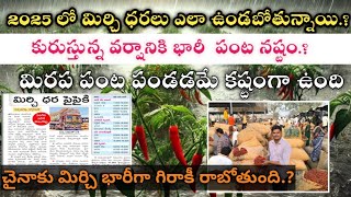 చైనా chinaకు మిర్చి Export ఈ ఏడాది మిర్చి ధరలు ఎలా ఉంటాయి chilli prices in khammam market [upl. by Tedmund]