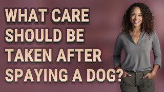 What care should be taken after spaying a dog [upl. by Arabel]