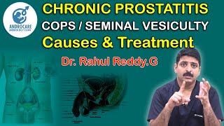 Chronic ProstatitisCPPS Seminal VesiculitisCauses And Treatment Dr Rahul Reddy  Androcare [upl. by Akimak]